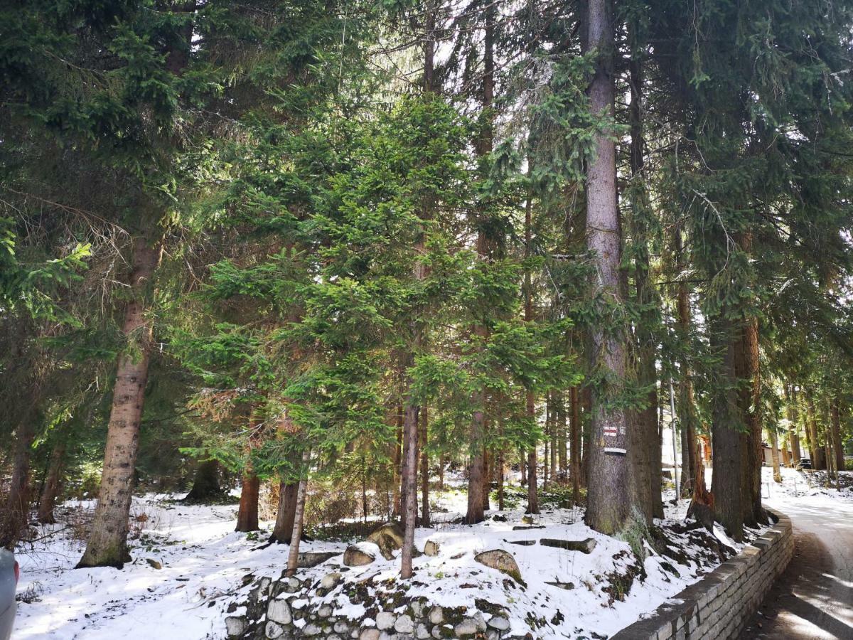 Excellent studios for your vacation-Hotel Villa Park- Borovets Exteriör bild